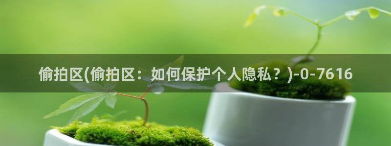 偷拍,亚洲：偷拍区(偷拍区：如何保护个人隐私？)