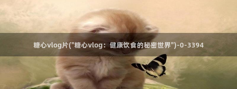 糖心vlog色破解版