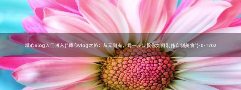 糖心在线vlog