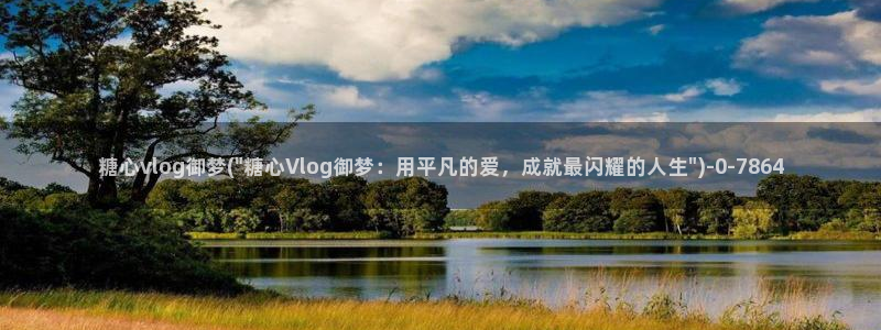 糖心vlog怎么破解