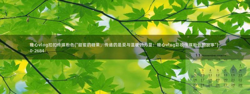 糖心vlog网站