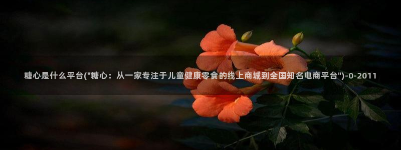 糖心vlog破解免费在线观看