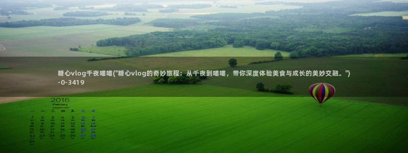 糖心vlog在线观看网站
