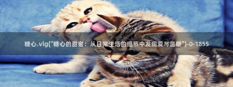 糖心vlog是谁