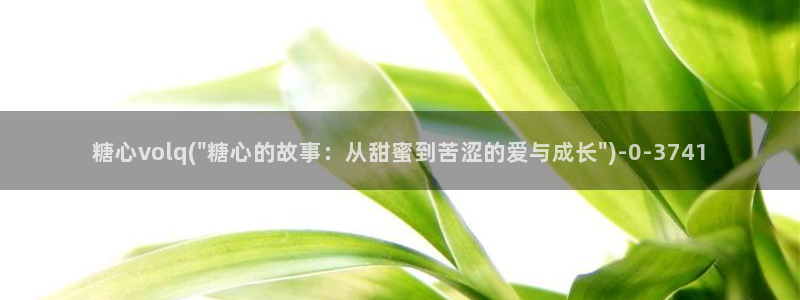 糖心vlog新官网入口