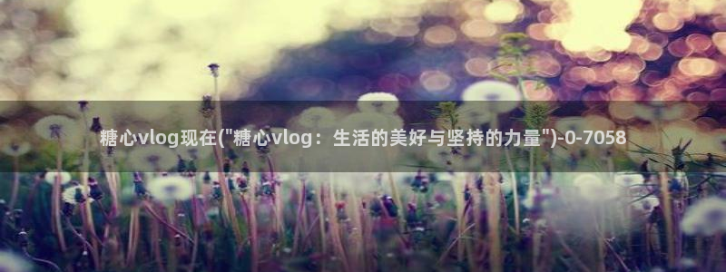 糖心vlog金善雅