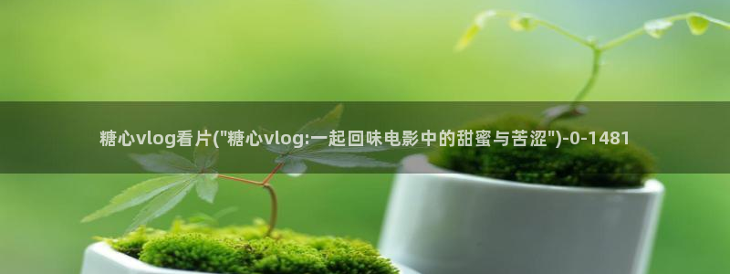 糖心vlog传媒网站免费