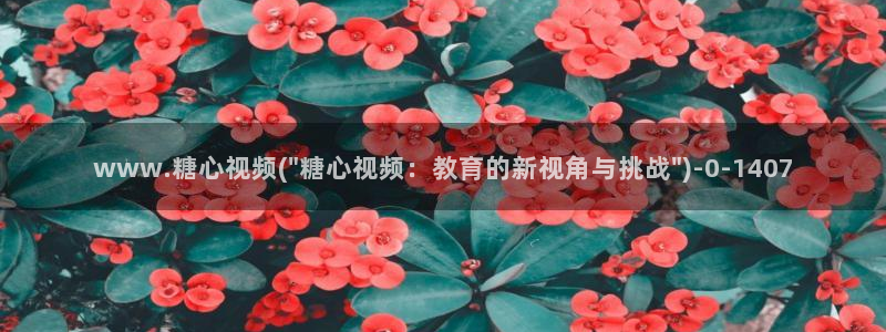 糖心vlog娜娜