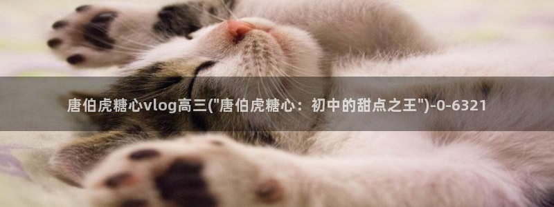 糖心视频vlog入口