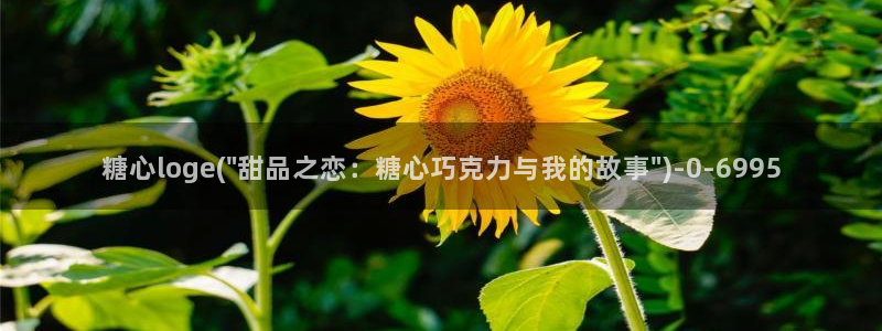 糖心vlog抢先版